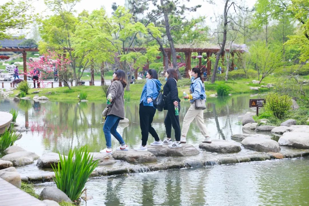 煙花三月【安心暢游瘦西湖】